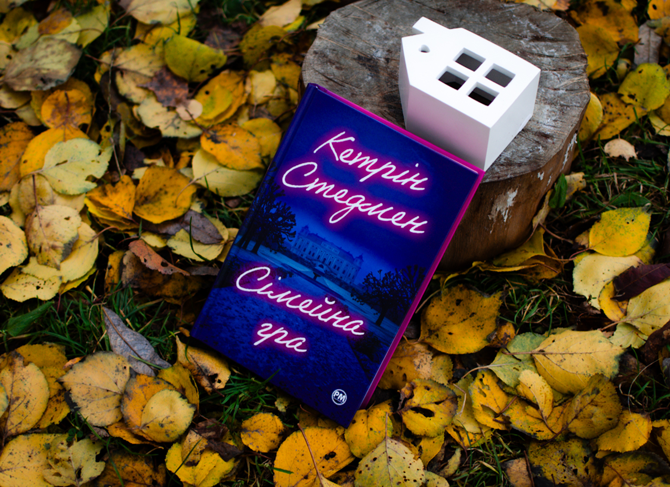 Уривок з книжки «Сімейна гра» Кетрін Стедмен