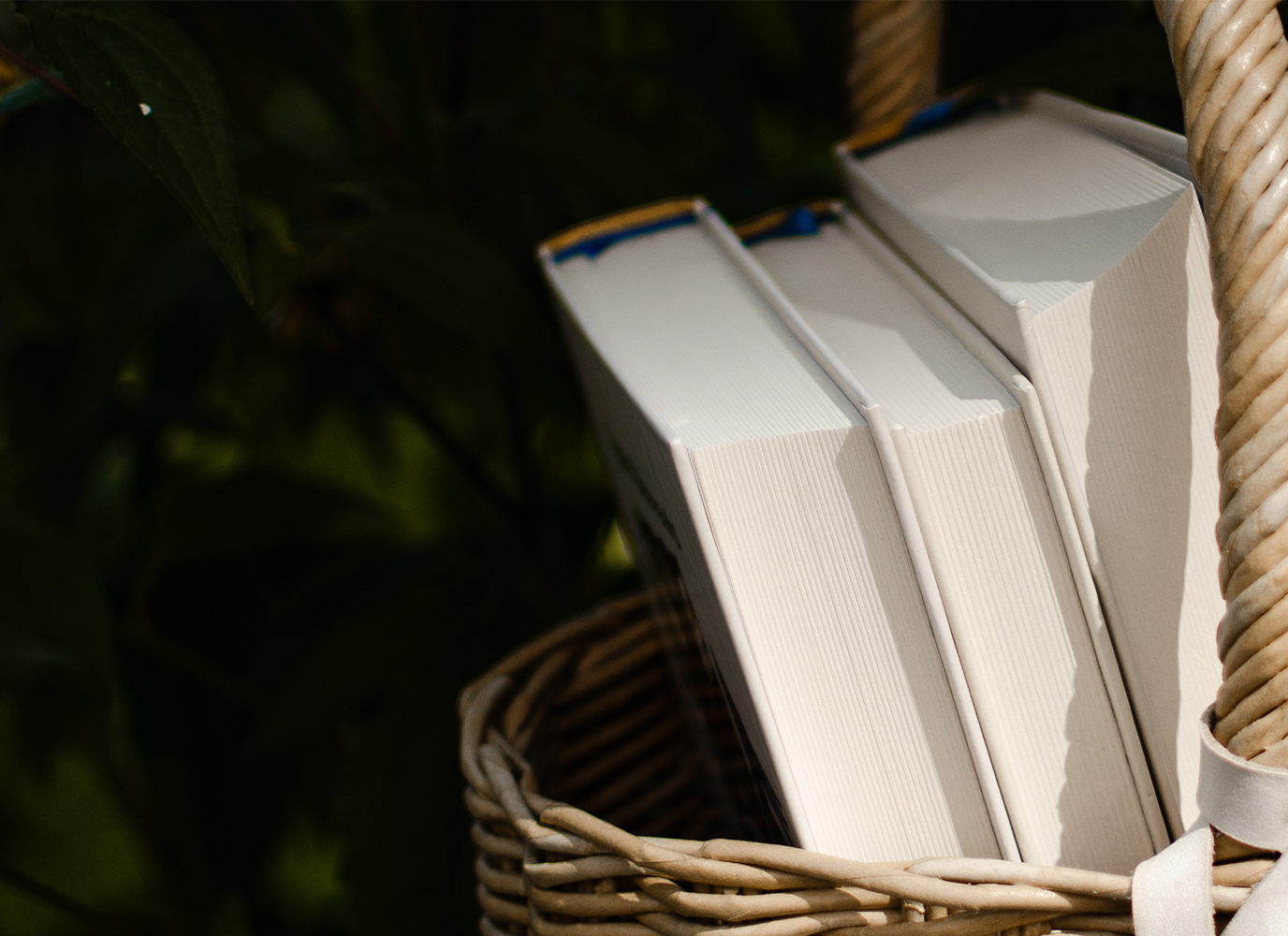 Видавничі плани: світова література в серії «Відомі та незвідані»