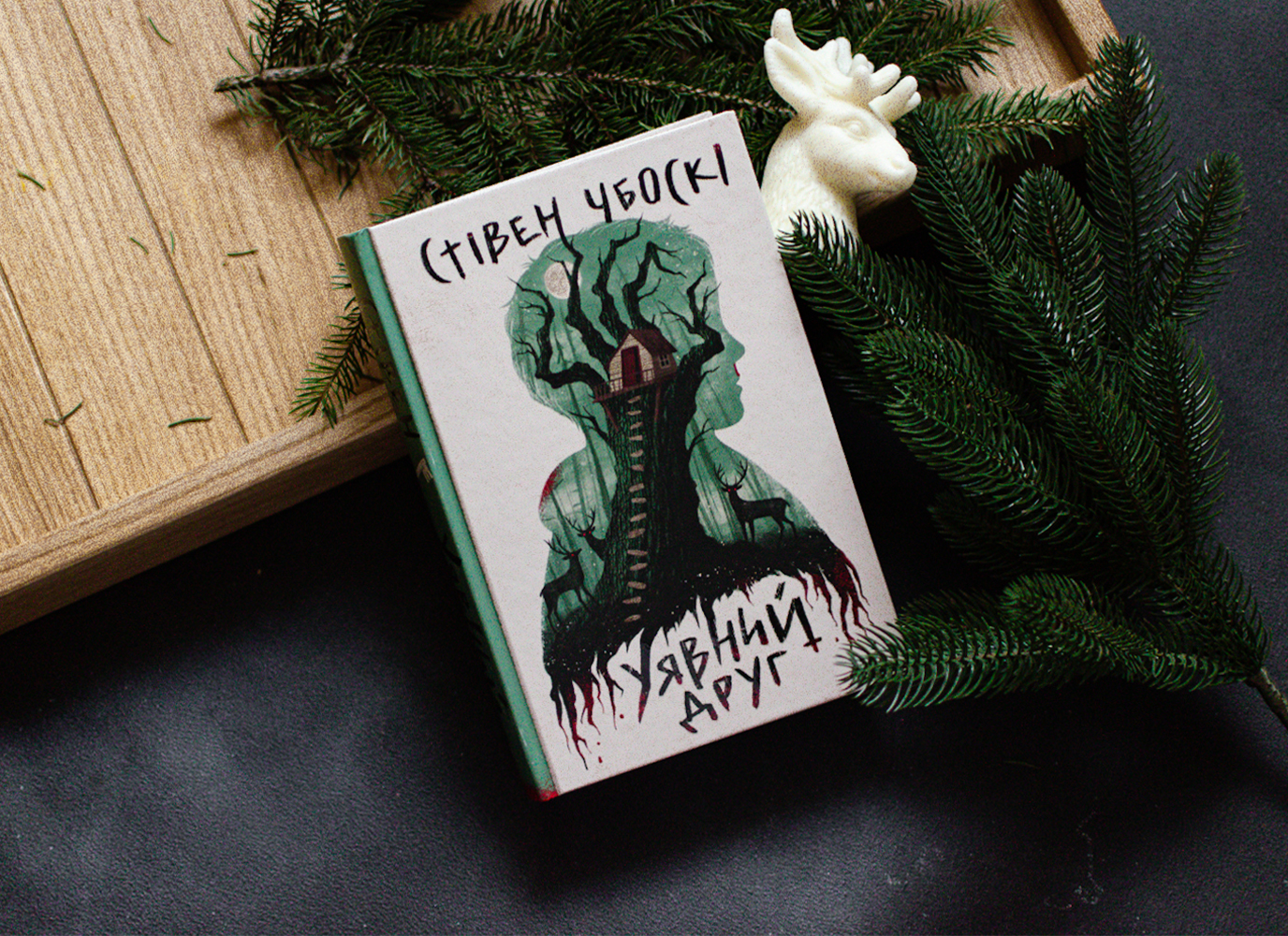 Уривок з містичного трилера «Уявний друг» Стівена Чбоскі