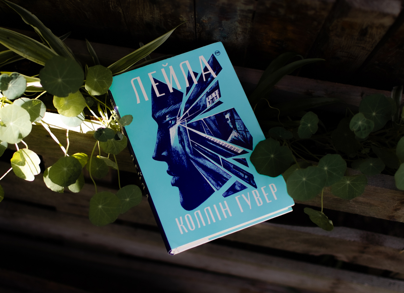 Уривок з паранормального роману «Лейла» Коллін Гувер