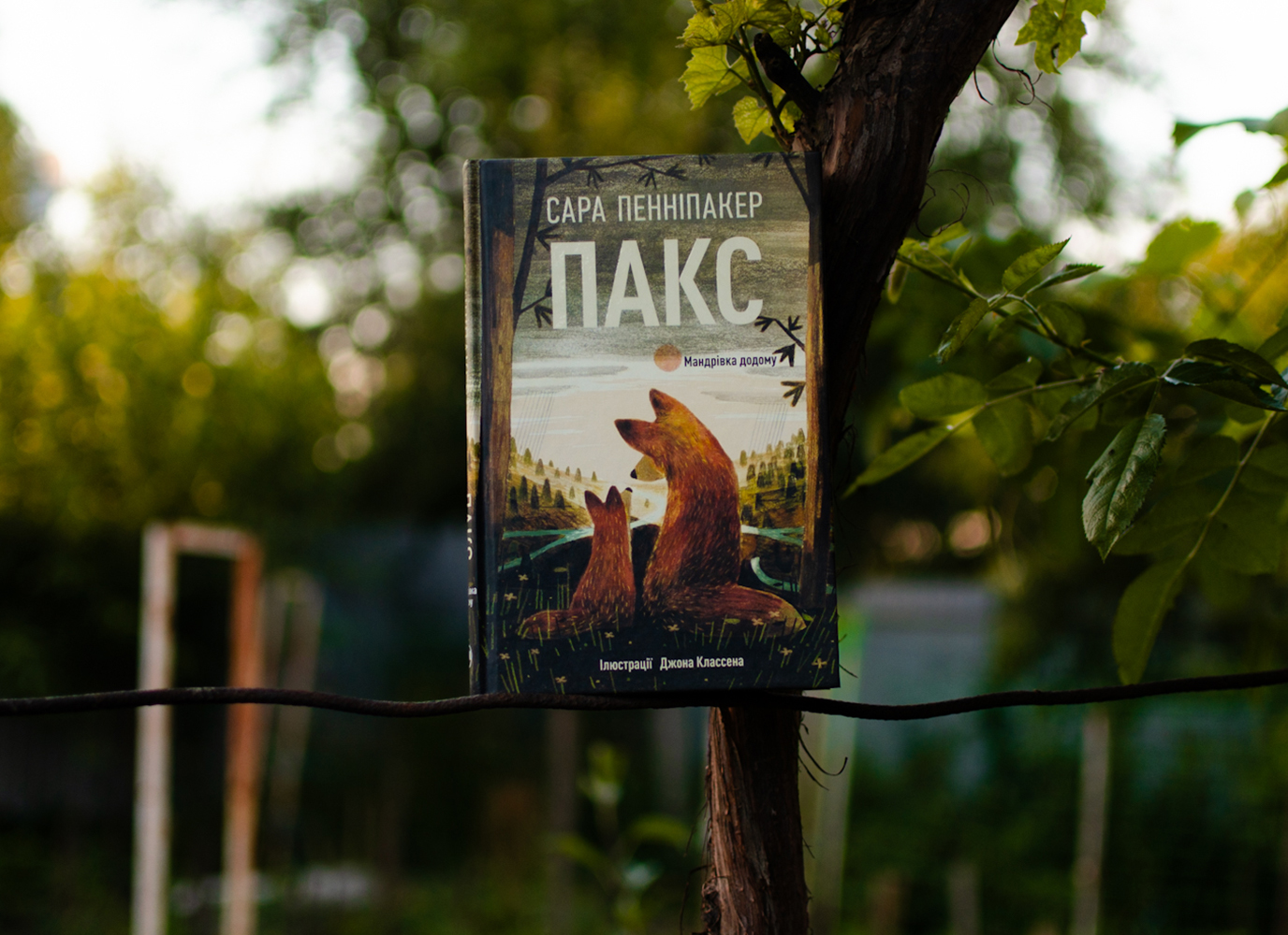 Уривок з підліткової історії «Пакс. Мандрівка додому» Сари Пенніпакер