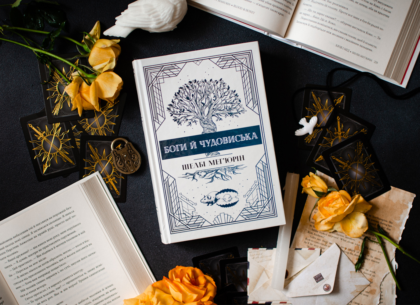 Уривок з романтичного фентезі «Змія і голуб. Книга 3. Боги й чудовиська» Шелбі Мег’юрін