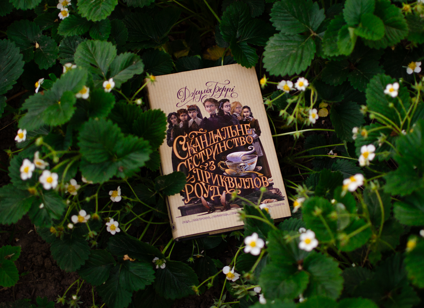 Уривок з вікторіанського детективу «Скандальне сестринство з Приквіллов-роуд» Джулії Беррі