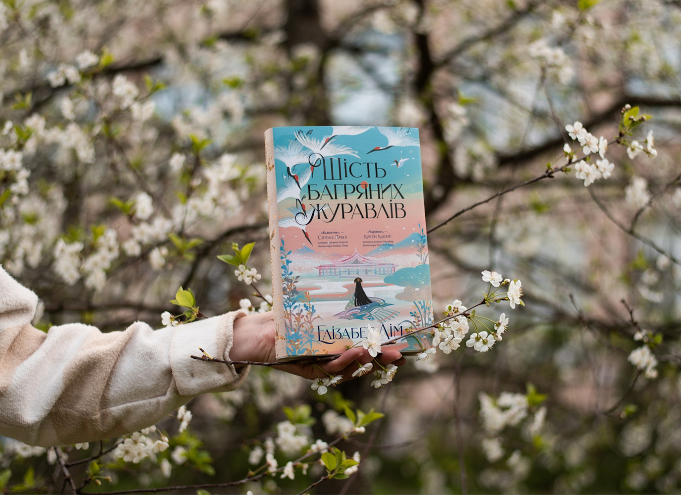 Уривок з фентезі «Шість багряних журавлів» Елізабет Лім