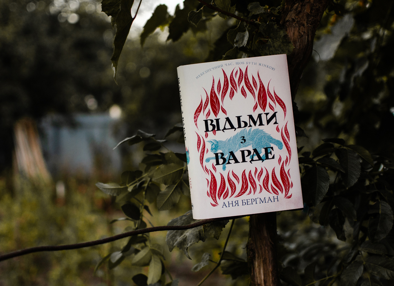 Уривок з історичного роману «Відьми з Варде» Ані Берґман