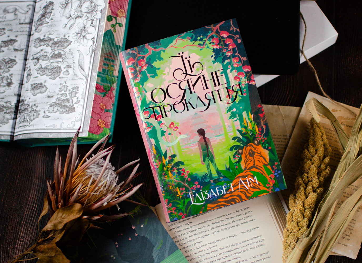 Уривок з атмосферного фентезі «Її осяйне прокляття» Елізабет Лім Уривок з атмосферного фентезі «Її осяйне прокляття» Елізабет Лім