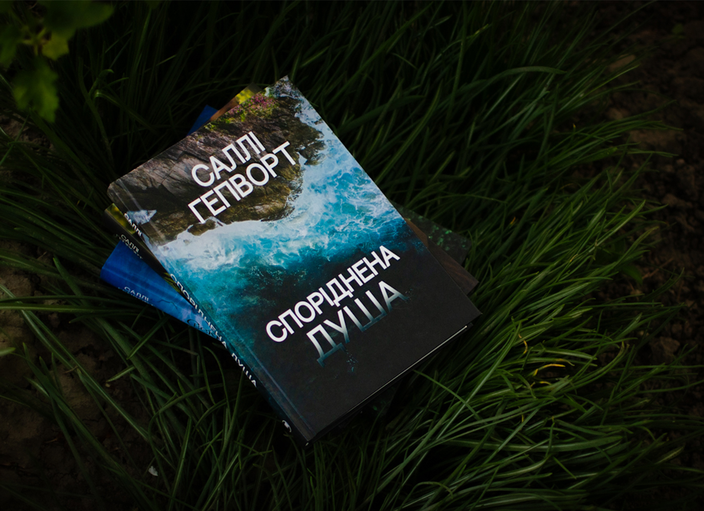 Уривок з гостросюжетної сімейної драми «Споріднена душа» Саллі Гепворт